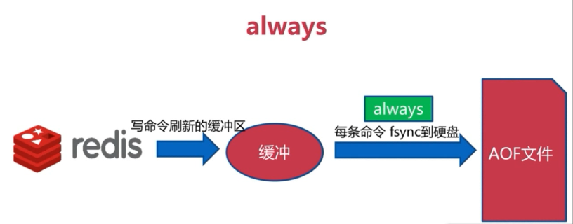 AOF-always.png